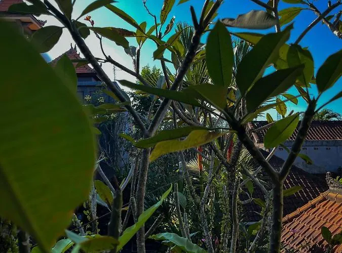 Indra Homestay By Luxury Degree Pensión Ubud