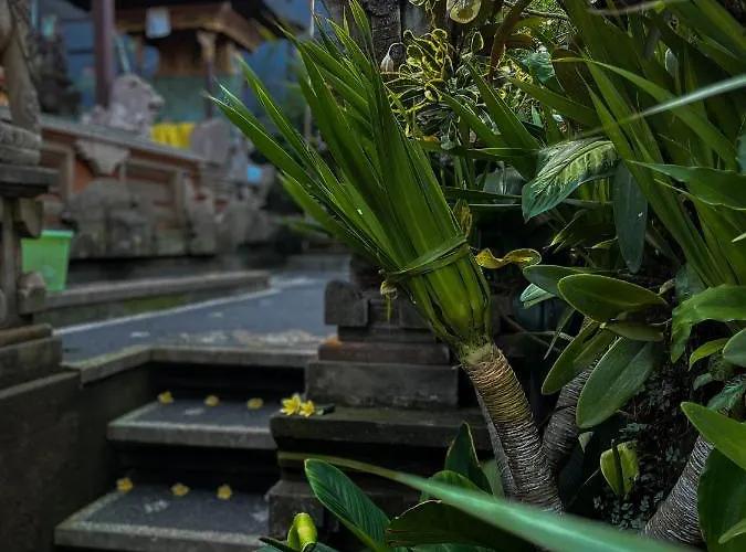 Indra Homestay By Luxury Degree Ubud