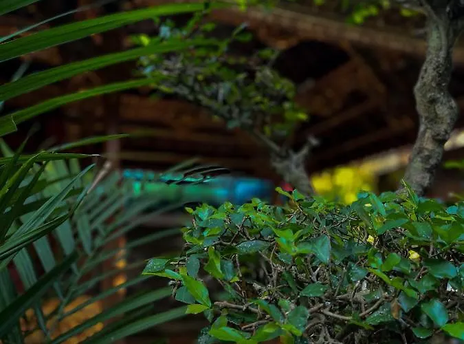 Pensión Indra Homestay By Luxury Degree